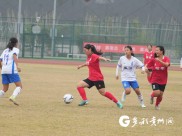 球员们在足球赛场上展现过人技艺