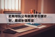 尼斯球队公布新赛季引援计划，继续补强阵容的简单介绍