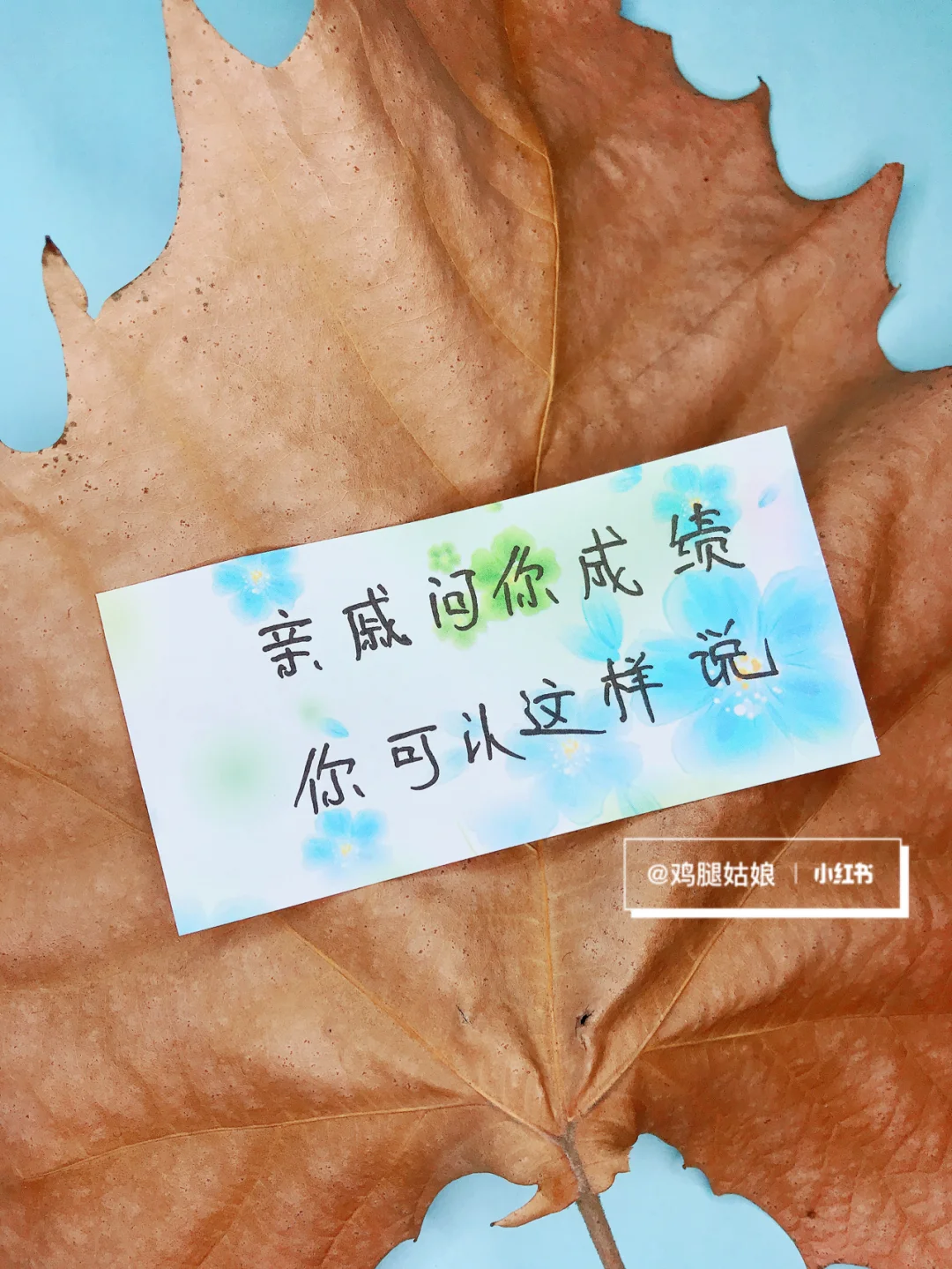 关于博洛尼亚青训梯队成绩优秀，未来可期的信息